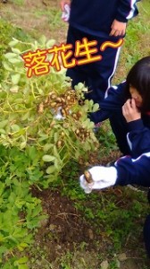 s-16-10-25-09-45-56-713_deco