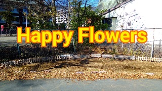 s-16-12-06-10-20-13-781_deco