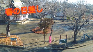 s-17-01-10-09-37-41-692_deco